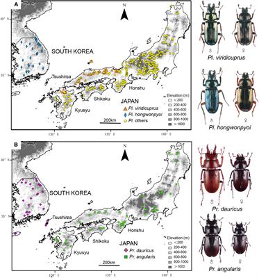 Lateral Transmission of Yeast Symbionts Among Lucanid Beetle Taxa